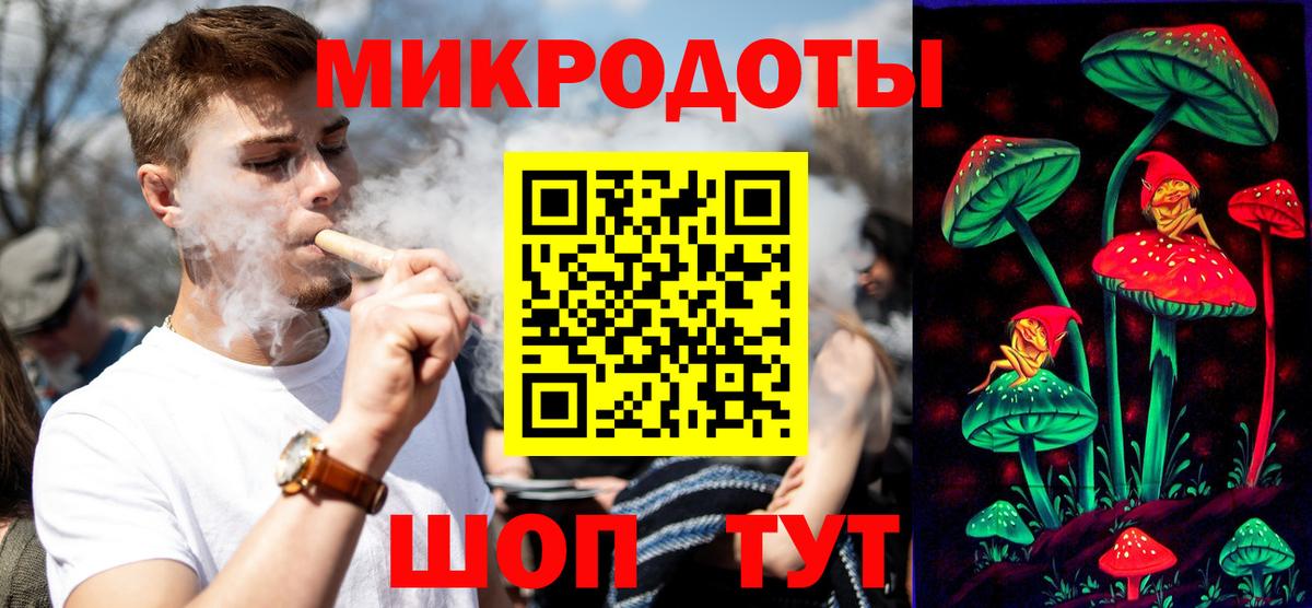 Псилоцибиновые грибы Psilocybine cubensis Гурьевск