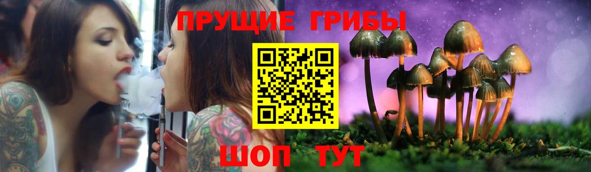 Псилоцибиновые грибы прущие грибы  Вход с VPN  Гурьевск  Галлюциногенные грибы MAGIC MUSHROOMS 
